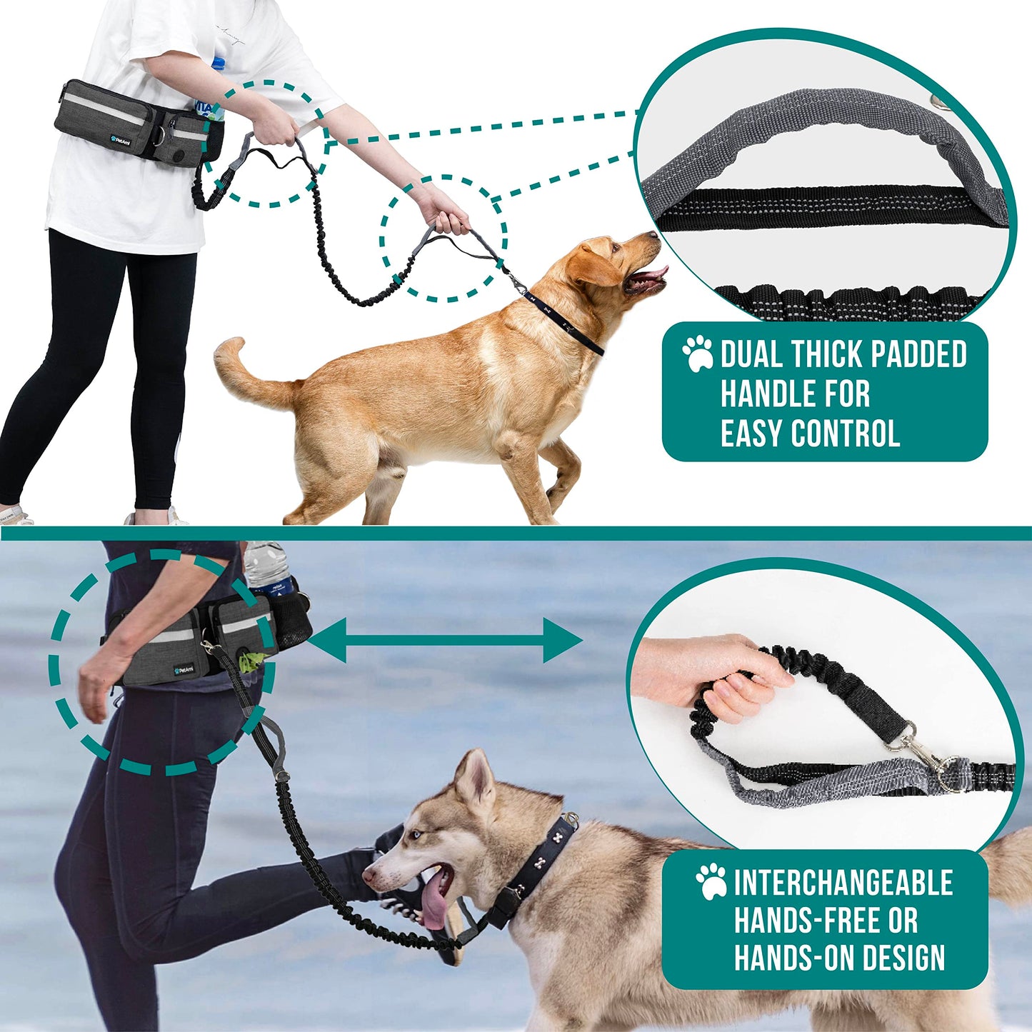 Hands Free Dog Leash